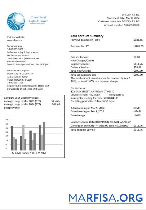 Realistic USA Connecticut Light & Power electricity business utility bill in Word and PDF formats download for verification